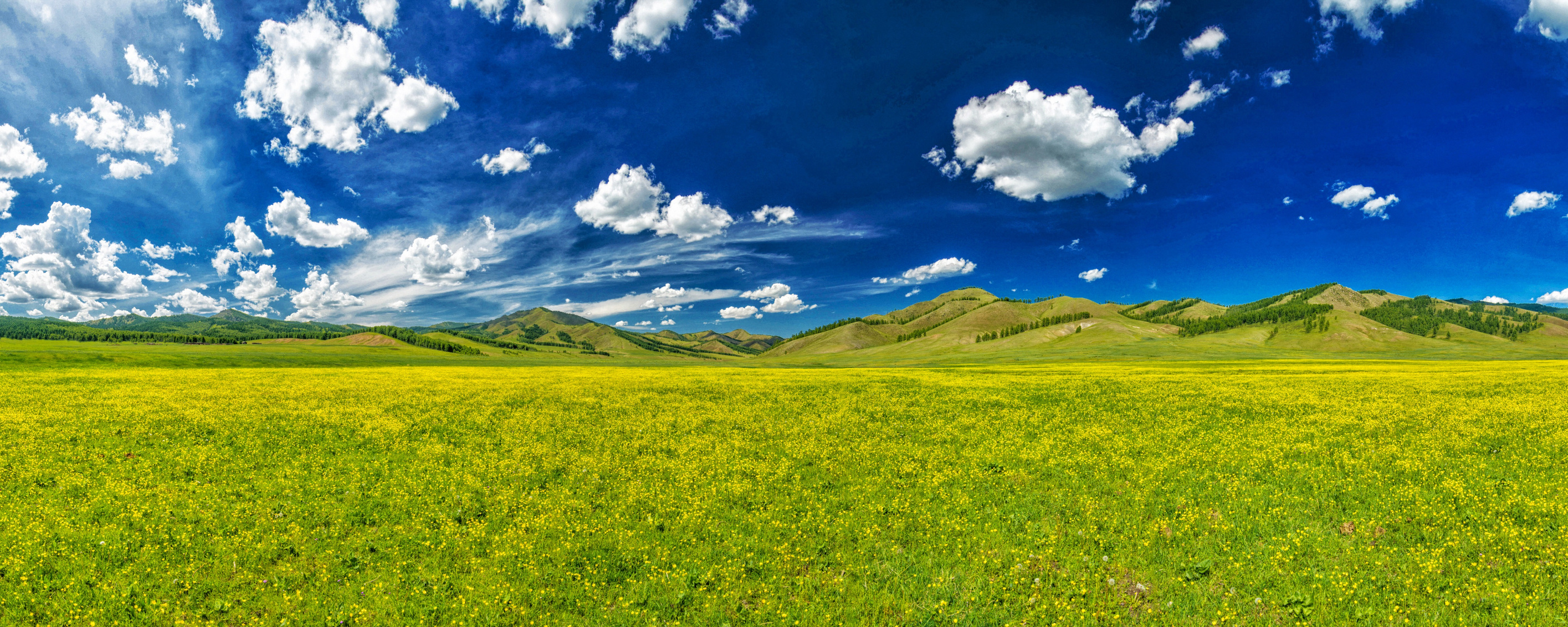 Valley of Flowers